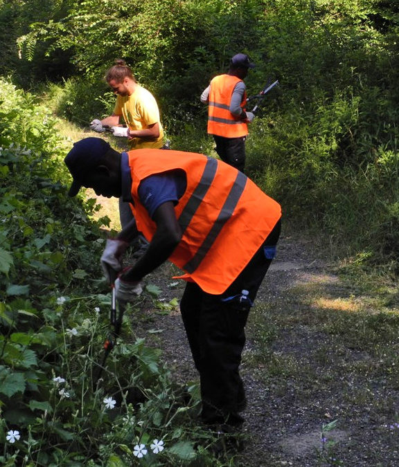 Giovani migranti e volontari stamani hanno ripulito i sentieri dell’oasi WWf Bosco del Bottaccio e del Bosco del Tanali